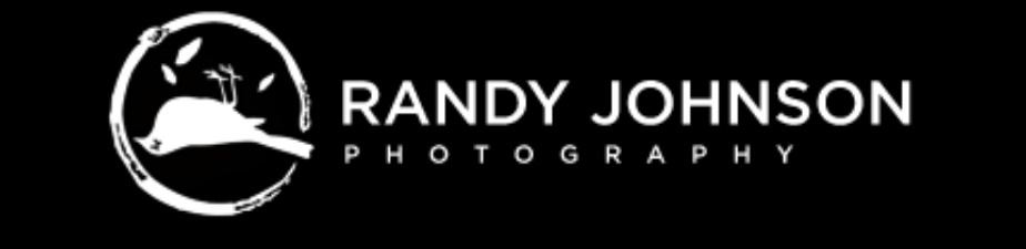 랜디존슨 웹사이트 로고.jpg