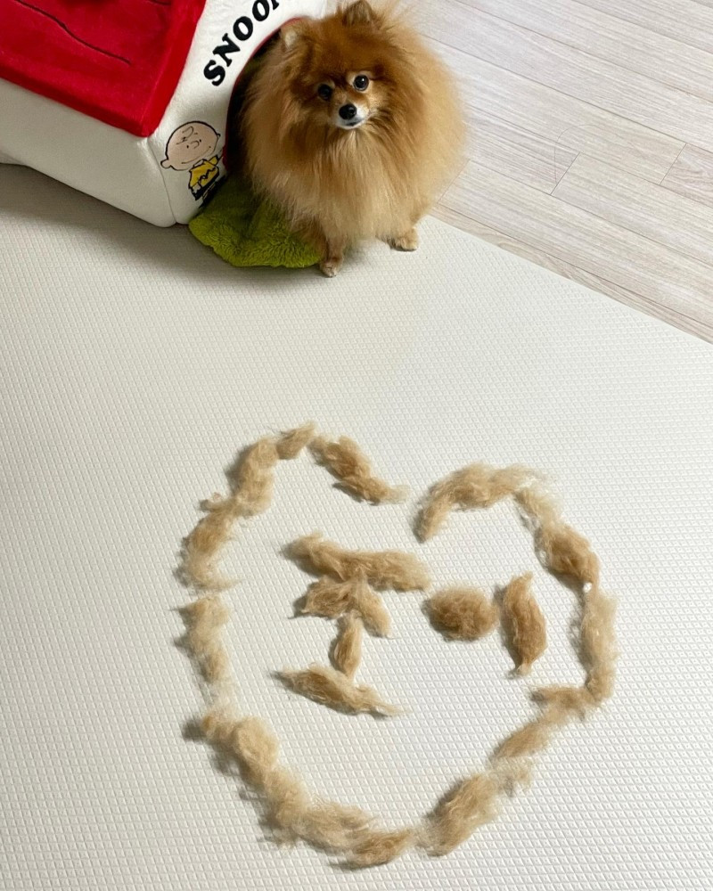 KakaoTalk_20240527_222510153 (1).jpg