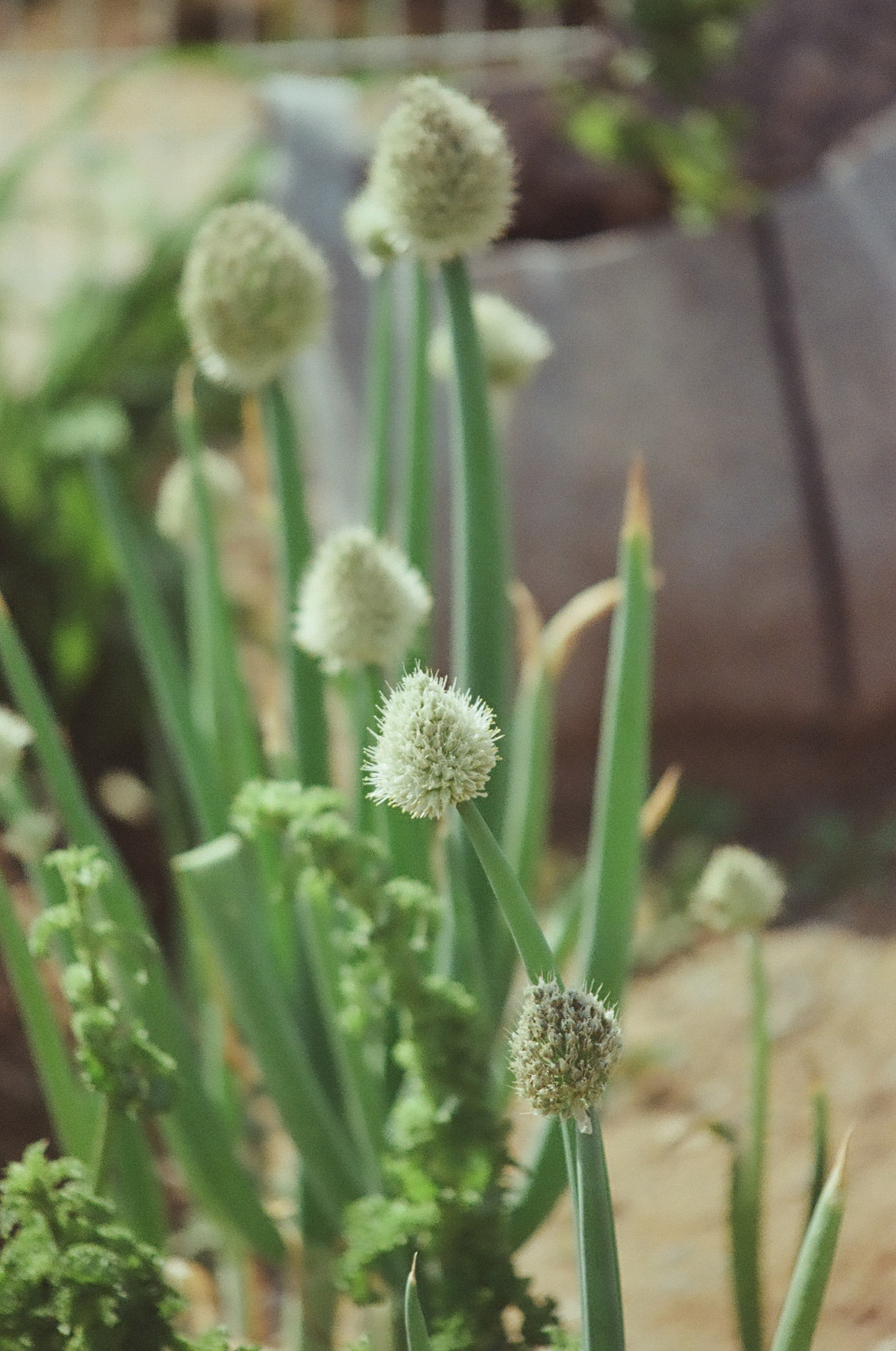 니콘필카111 (4).jpg