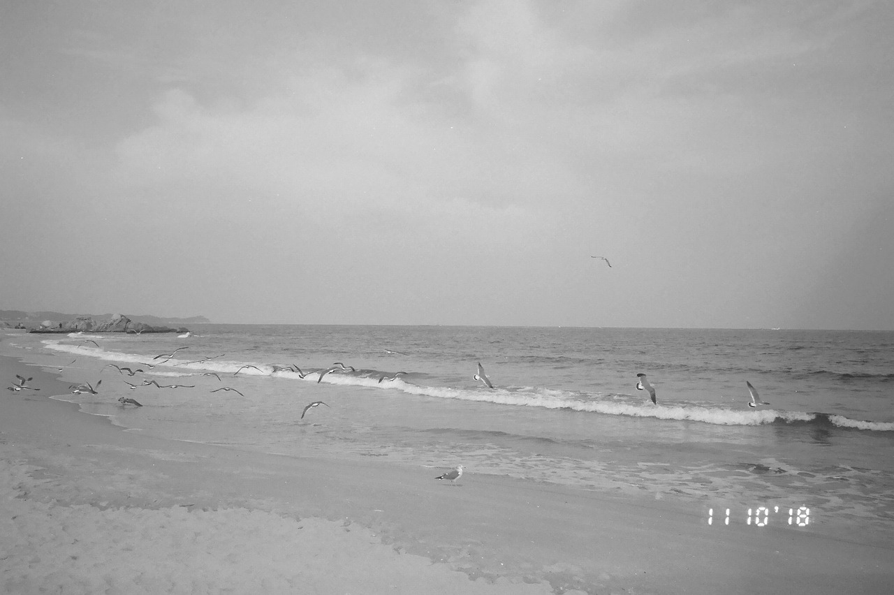 11월 11일 일요일 (4).jpg