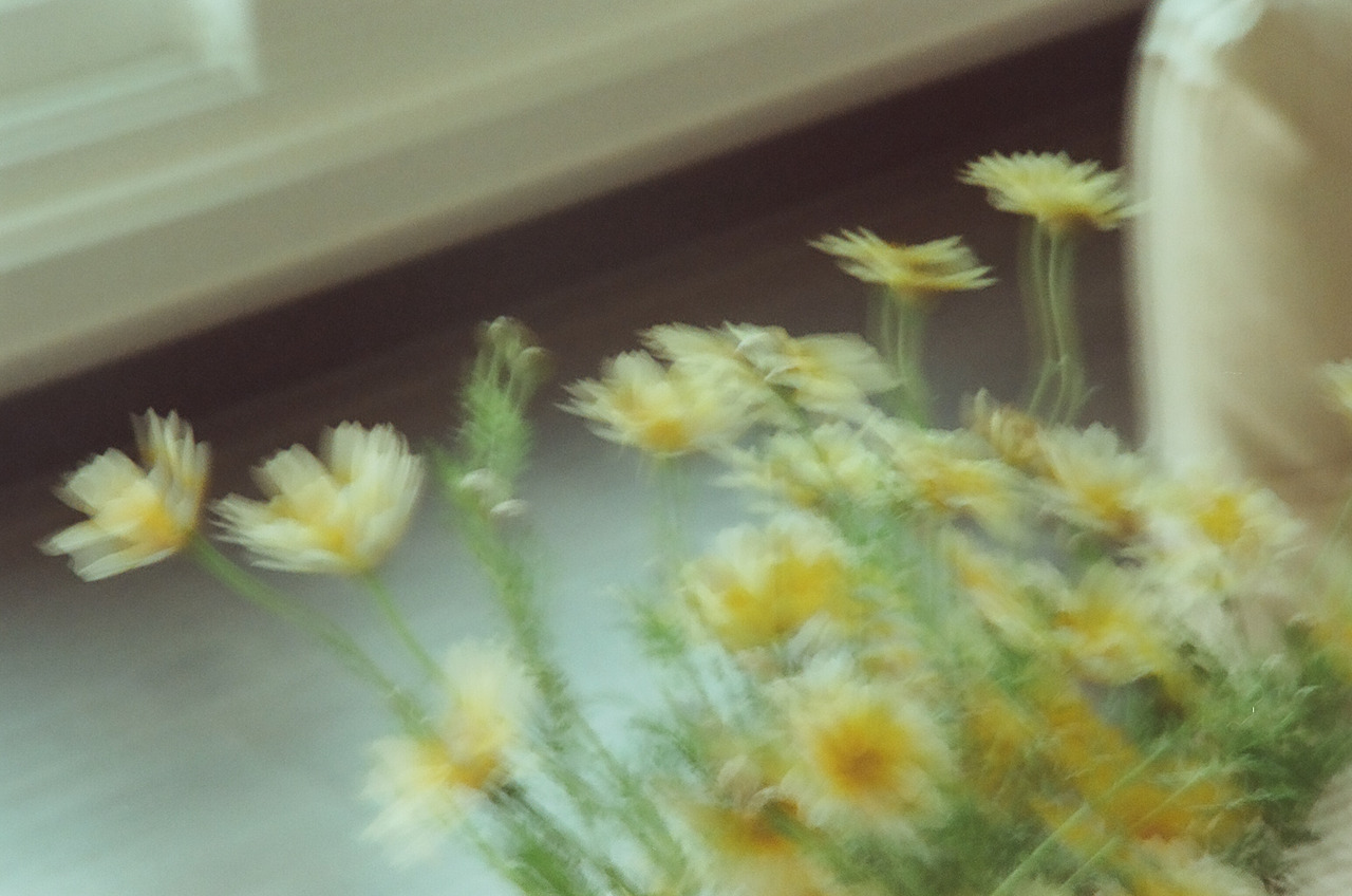 니콘필카111 (8).jpg