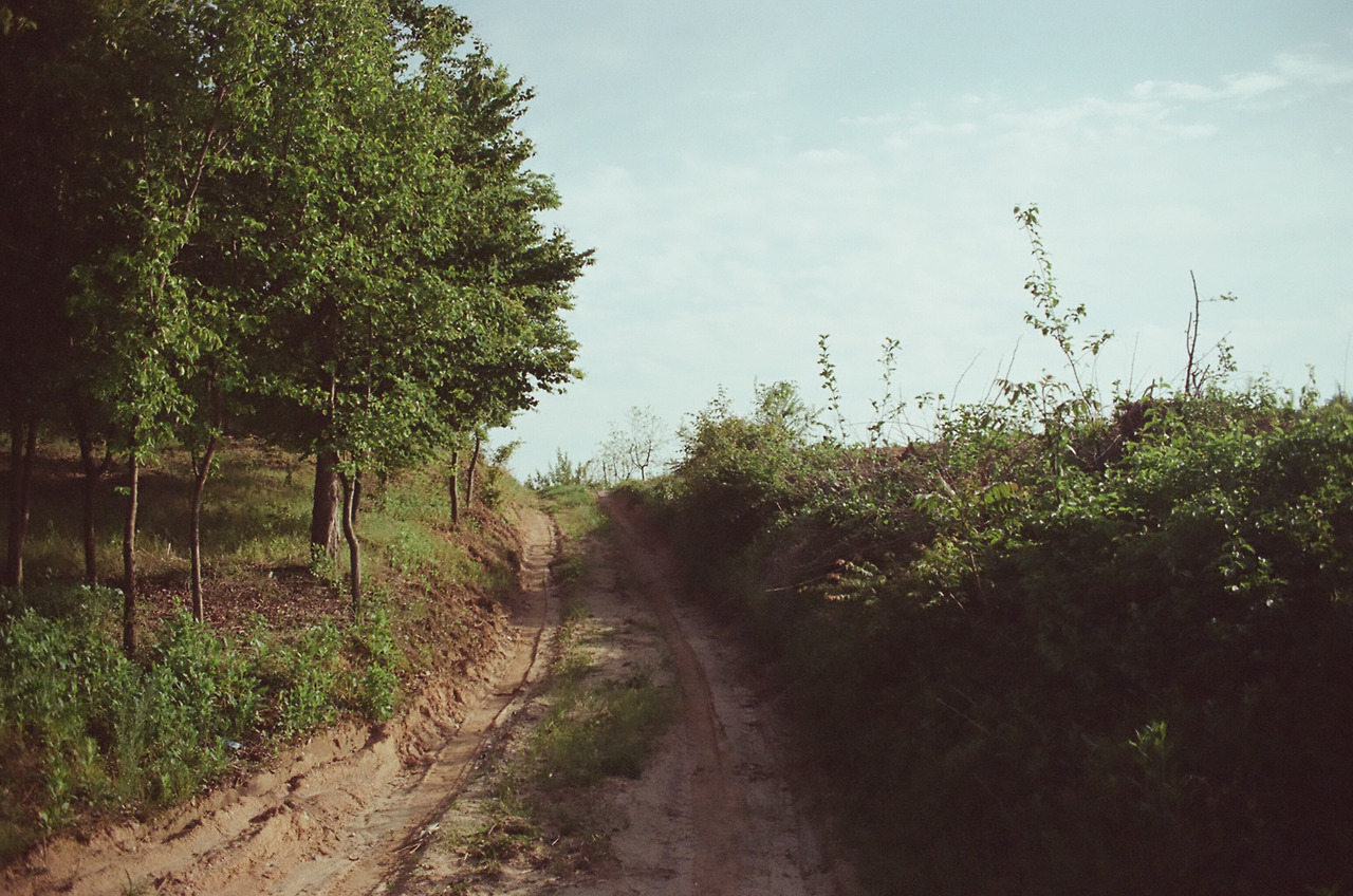 니콘필카111 (5).jpg