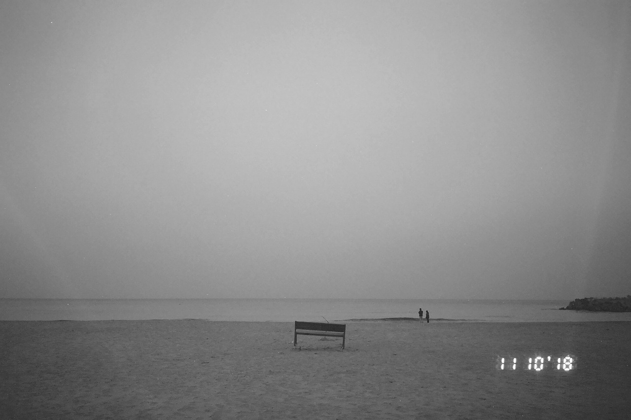 11월 11일 일요일 (2).jpg