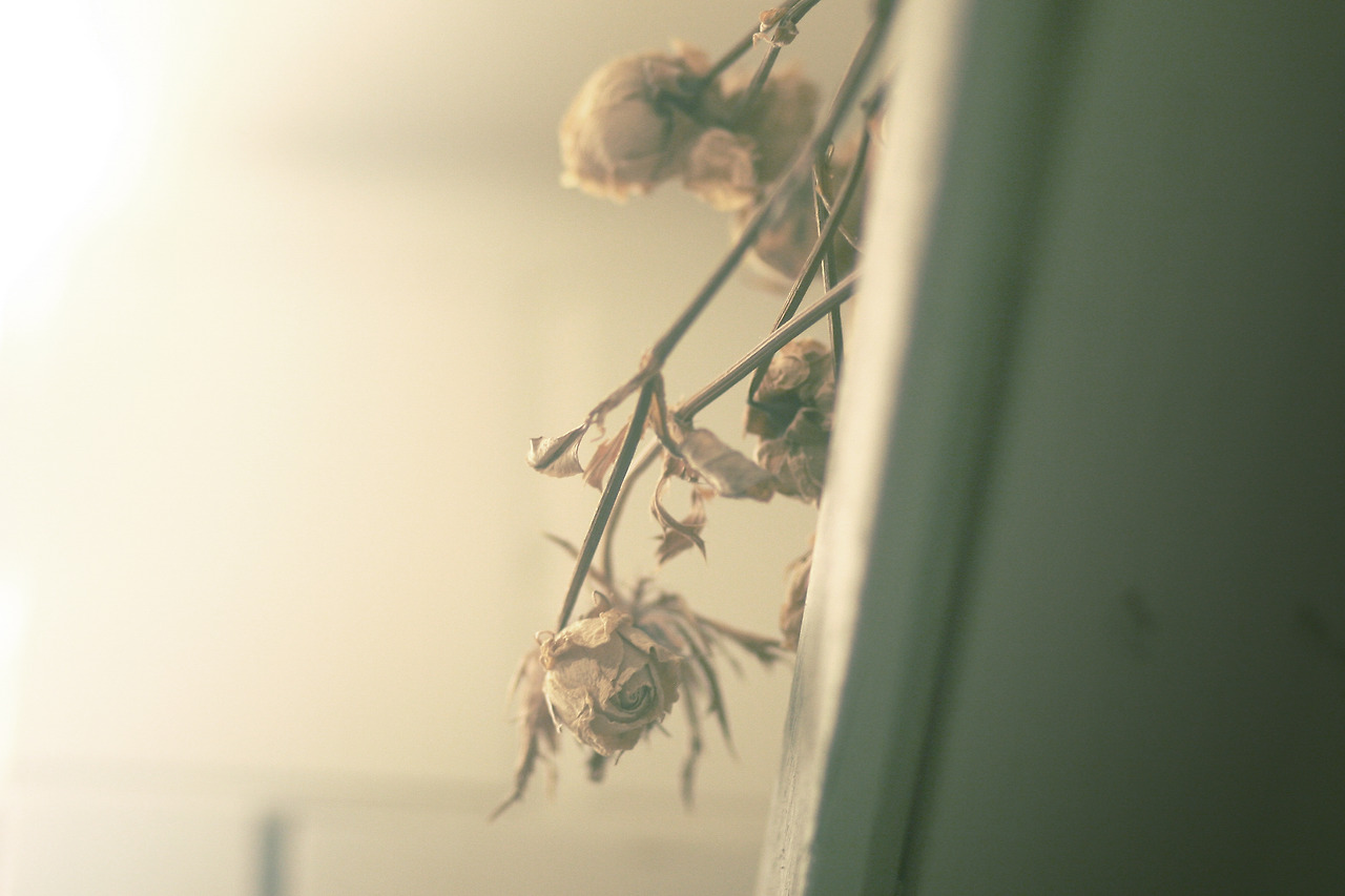 2월 3일 토요일 오후 5시.jpg