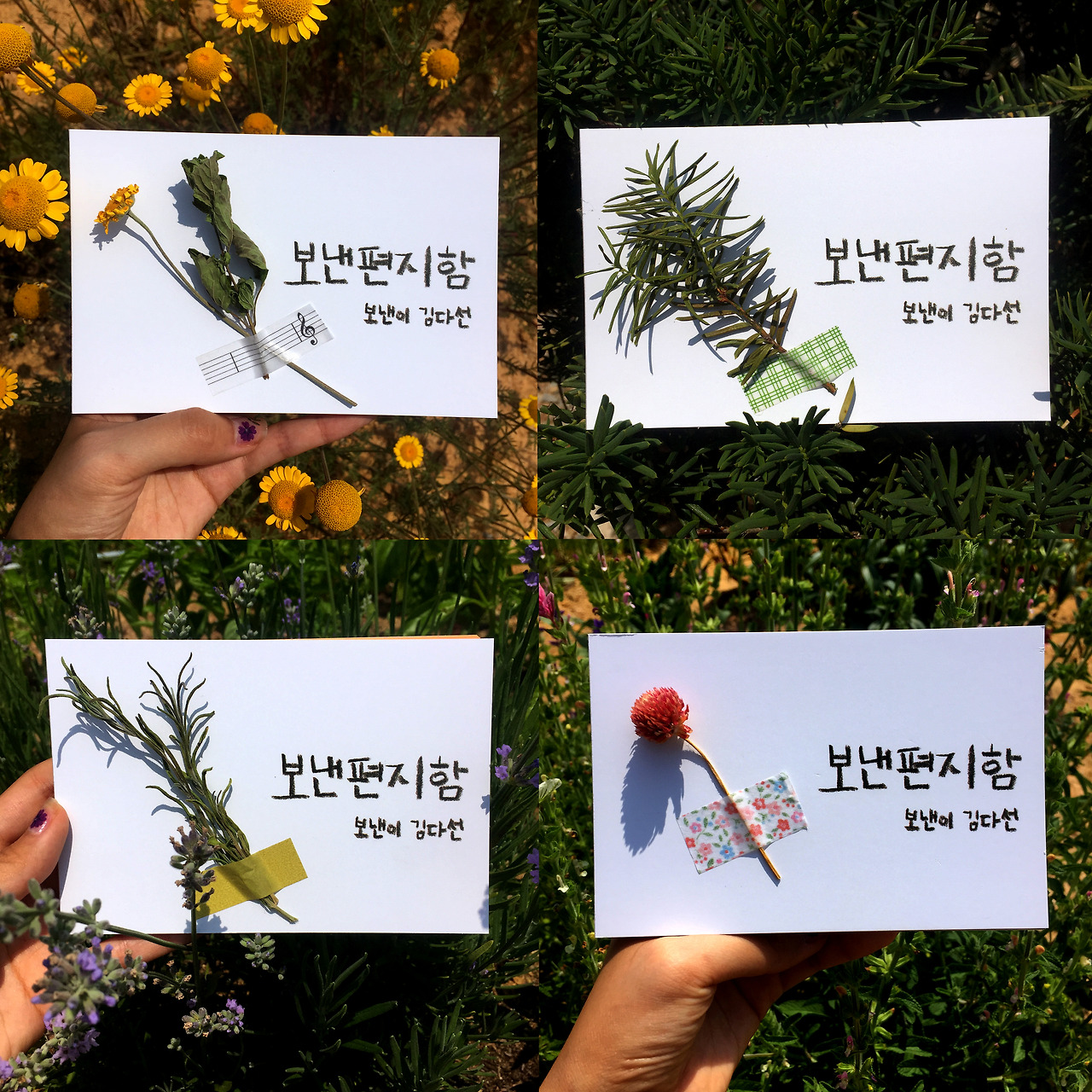 12. 구성 꽃표지 copy-1.jpg