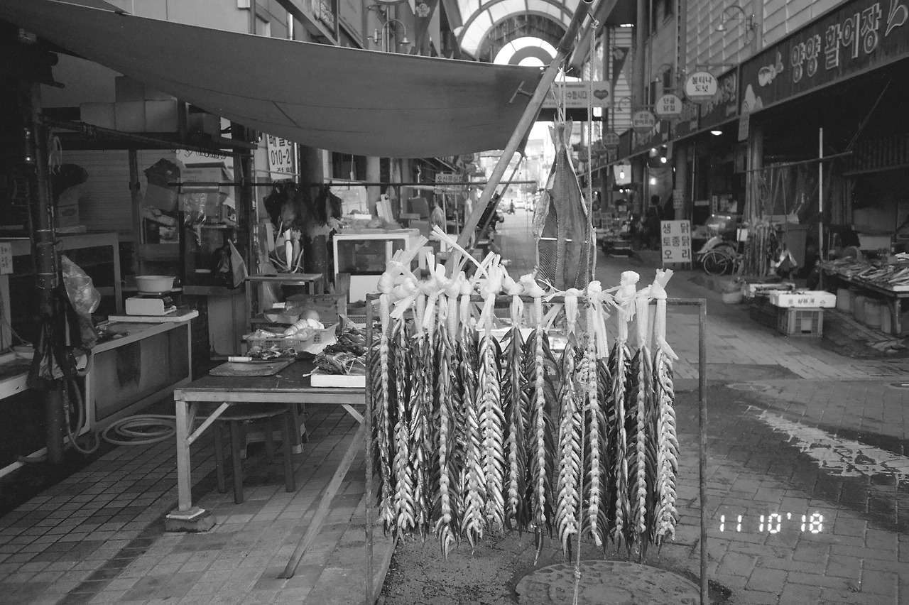 11월 11일 일요일 (1).jpg