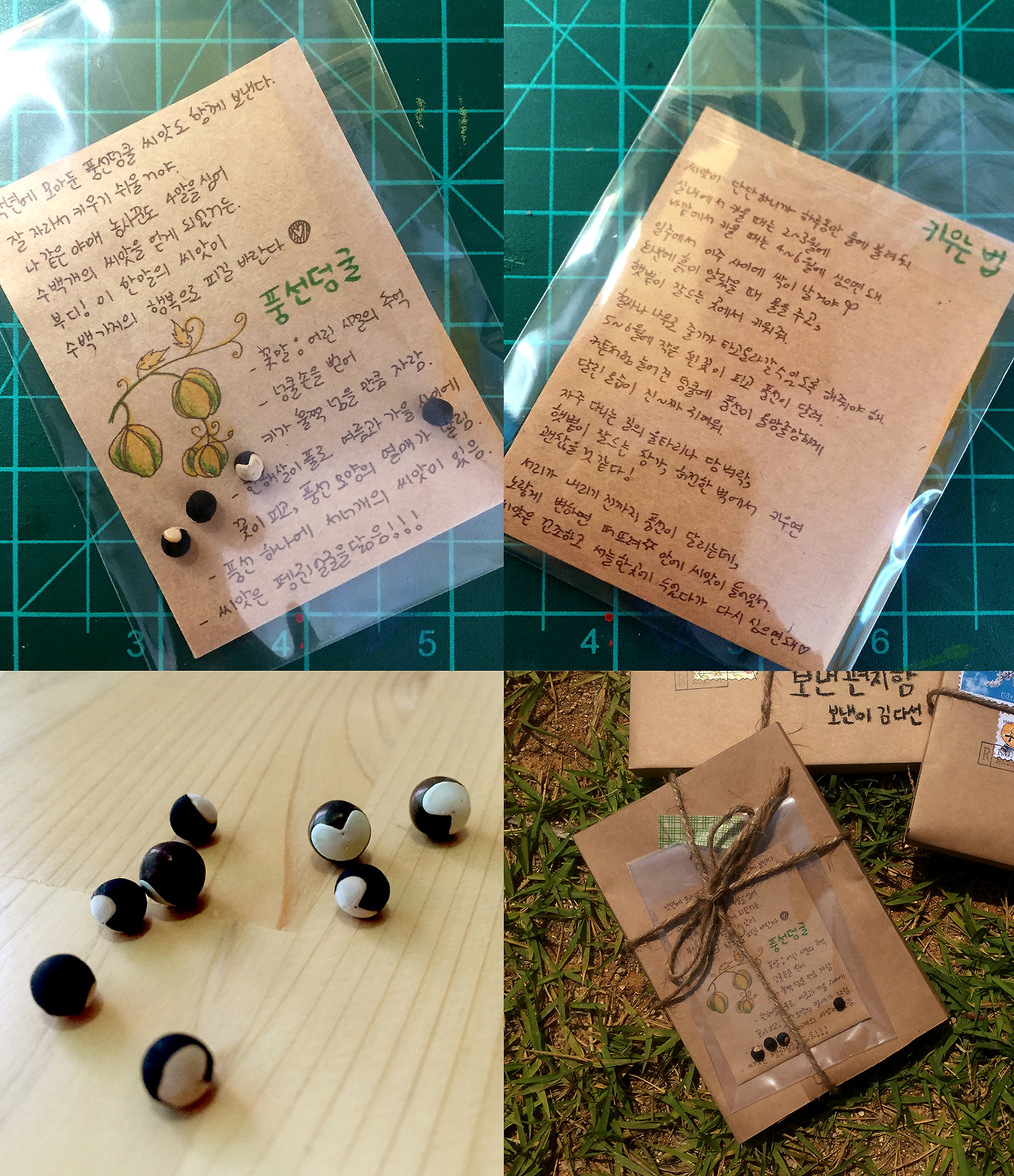 10. 씨앗 합친 것-1.jpg