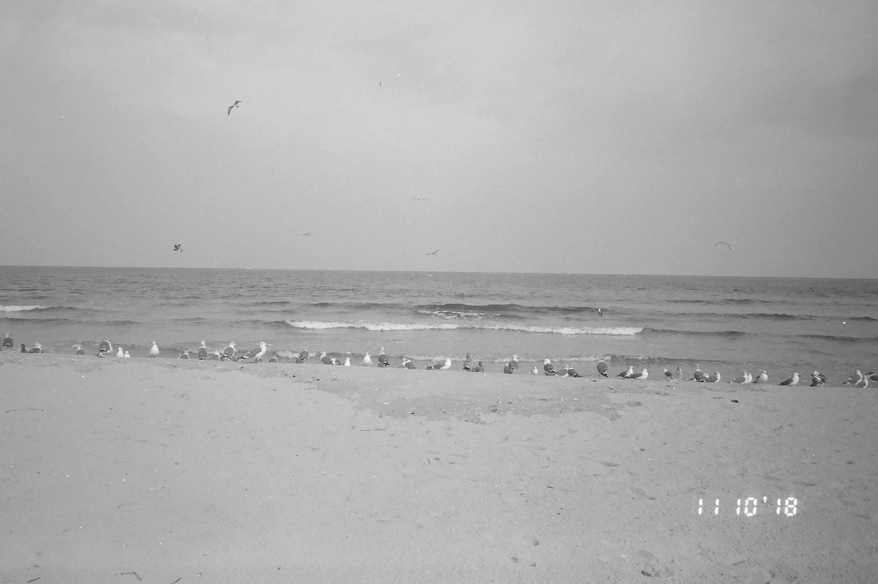 11월 11일 일요일 (3).jpg