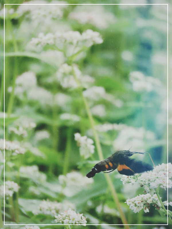 SE-5002c6bb-aa5f-4a0b-8b94-59f45e1be6f5 (1).jpg