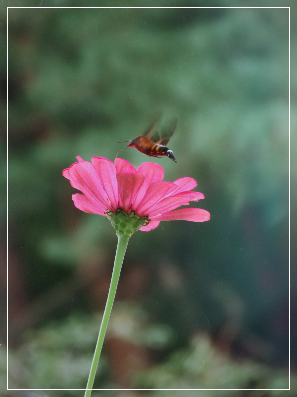 SE-60d14669-d8b1-47b3-9a4a-f5402a4b6676 (1).jpg