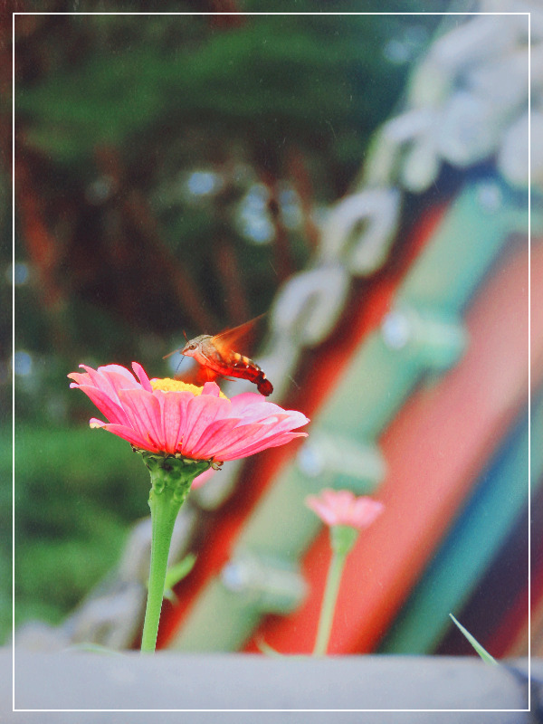 SE-dcffd77e-5011-4afe-8707-8184119afeeb (1).jpg