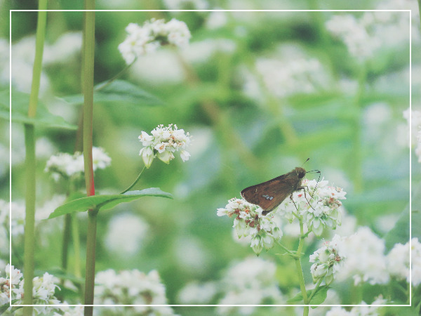 SE-f981964b-962c-428c-8efa-cfcb3326c173 (1).jpg