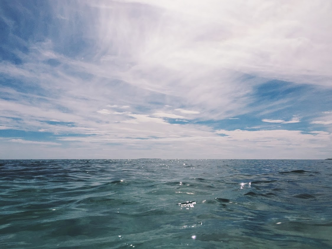 1월의 바다 (10).jpg