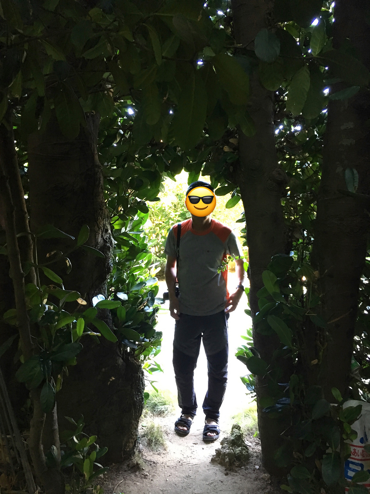 후쿠기 나미키 동굴.jpg