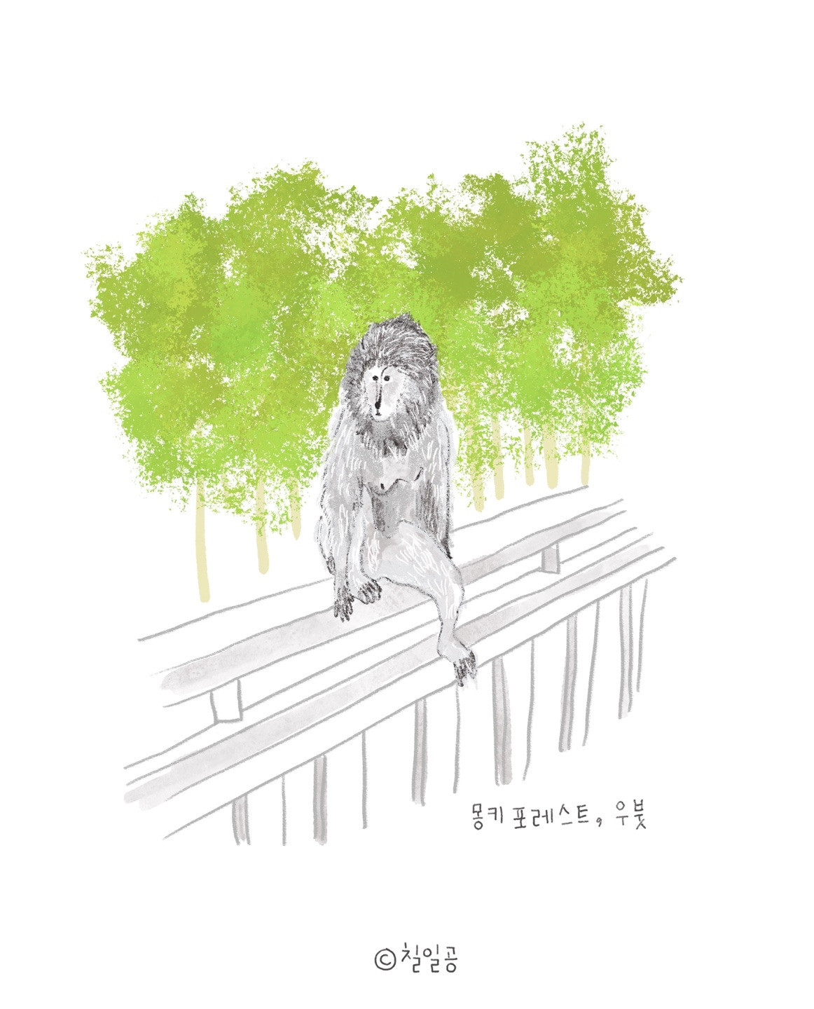 몽키 포레스트 우붓 (1).jpg