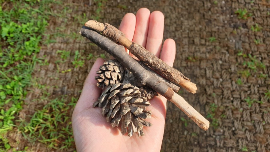 손에 든 솔방울.jpg