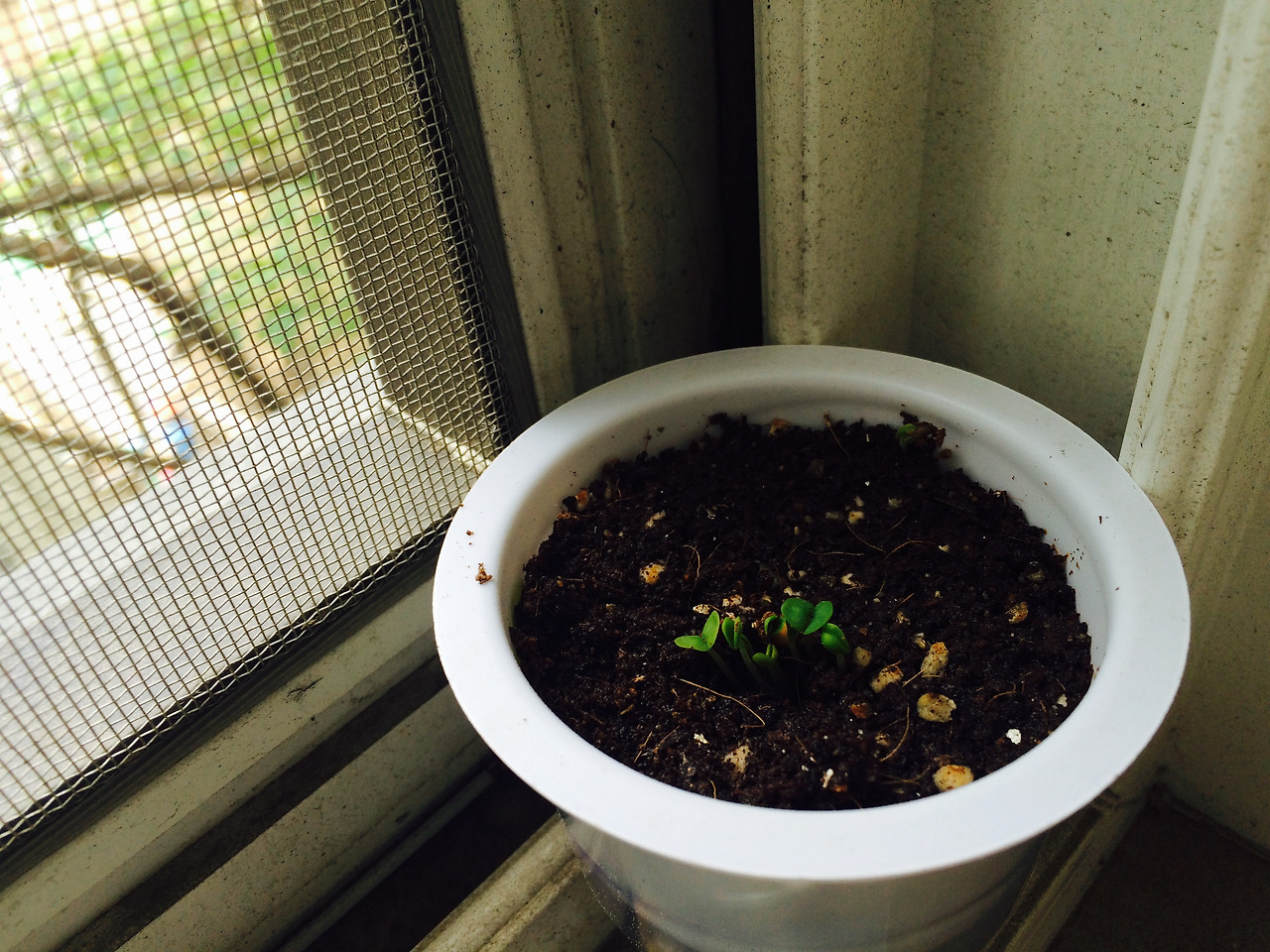 FullSizeRender 18.jpg