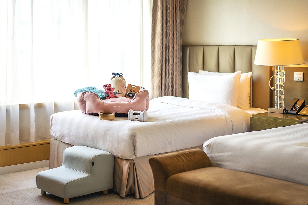 6. 롯데호텔 서울_펫캉스 패키지.jpg