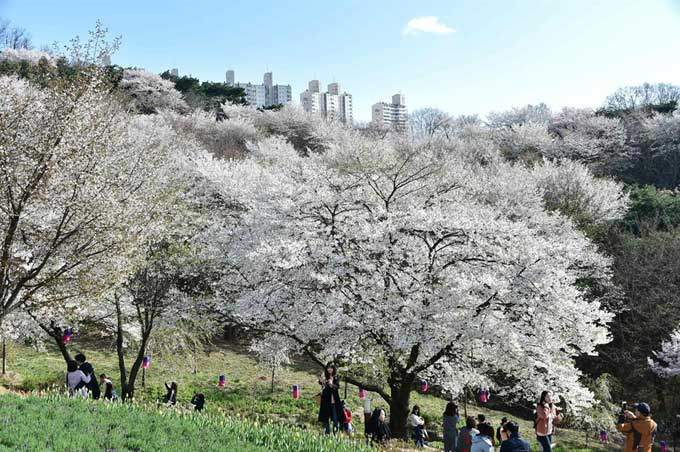 (1) 안산자락길.jpg