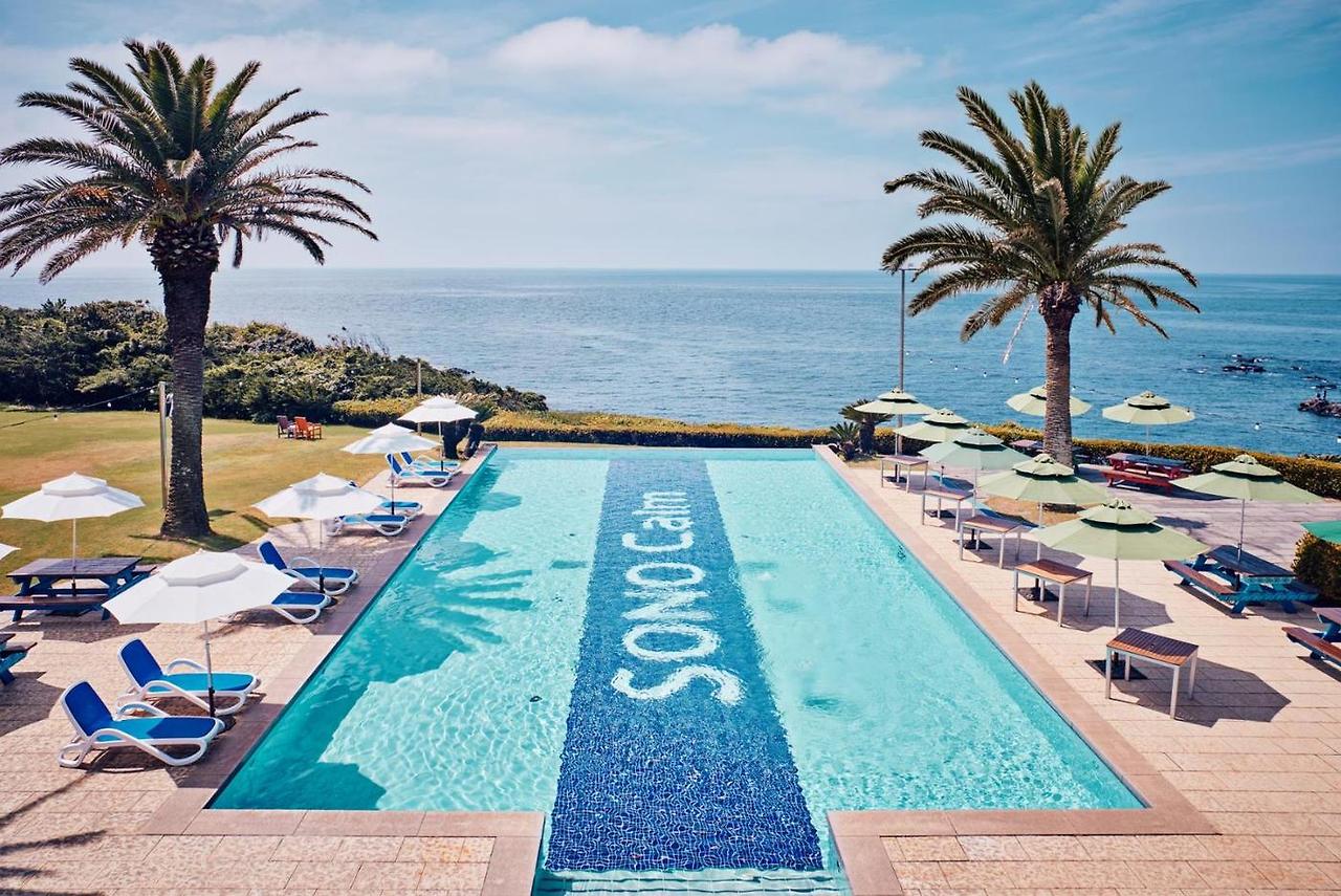 [사진자료] 소노캄 제주 (1).jpg