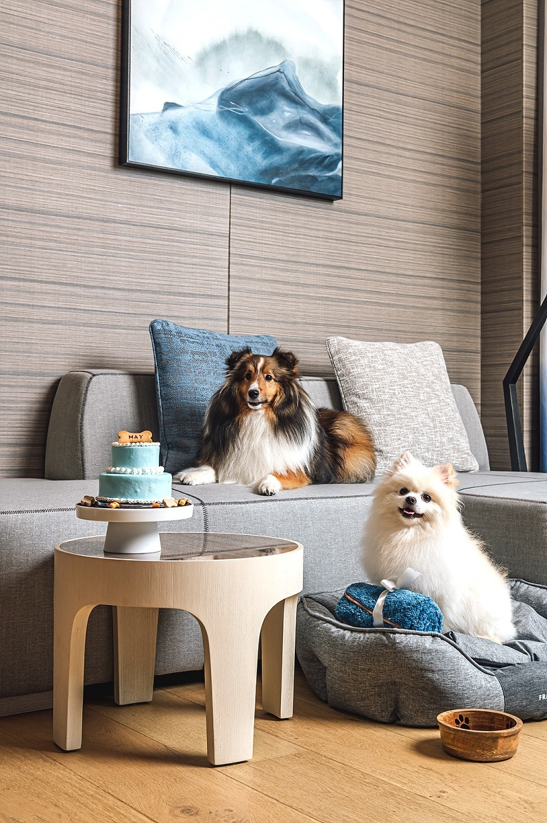 6. 롯데 시그니엘 부산_펫캉스 패키지.jpg