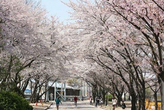 (6) 당인리발전소.jpg