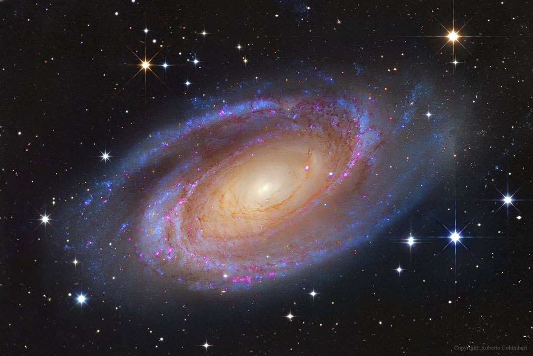 m81_colombari_1080c.jpg