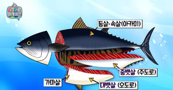 참치해체.jpg