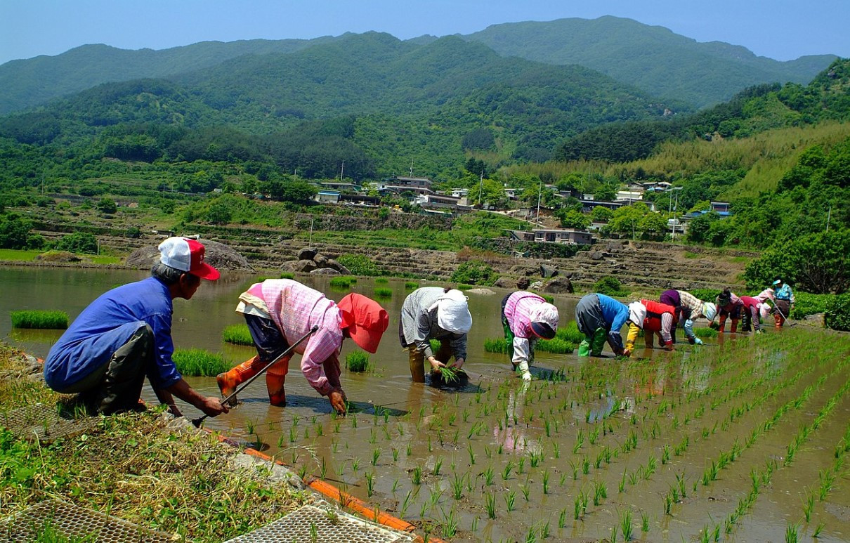 화면 캡처 2024-07-17 172955.jpg