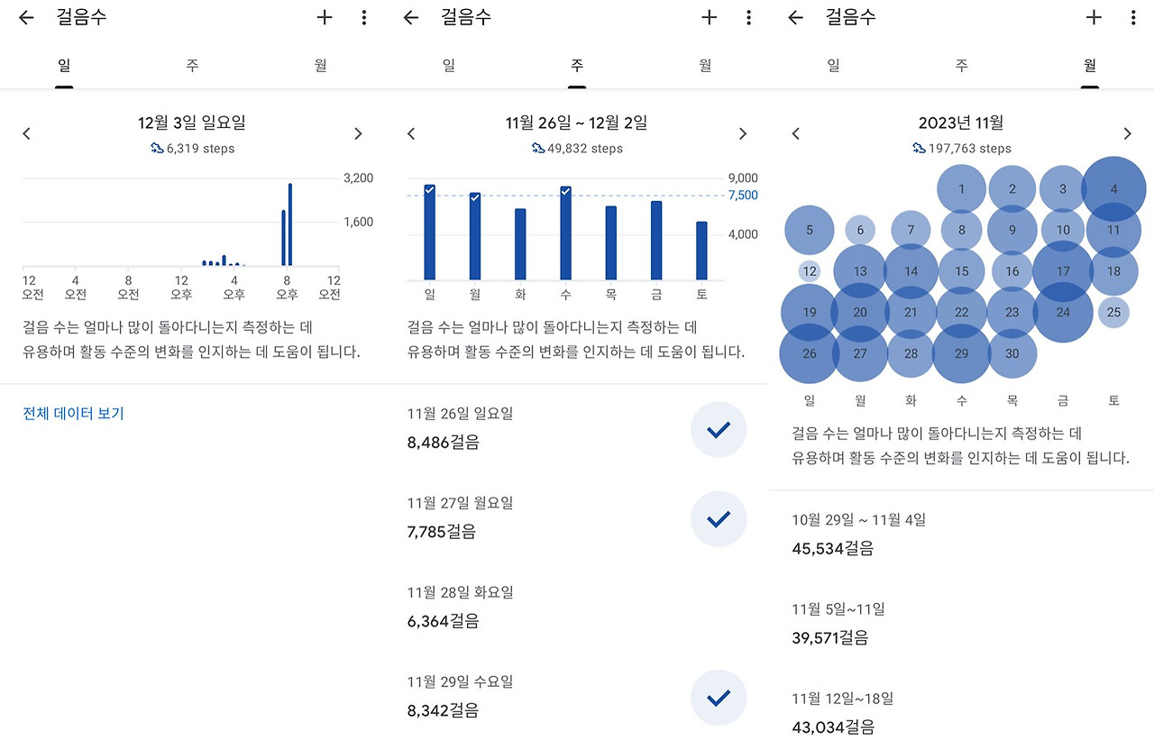 걸음수 파일.jpg