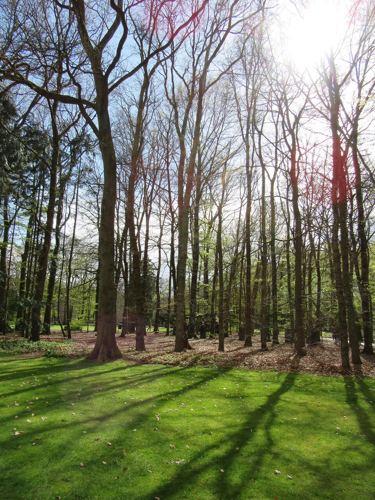 사본 -IMG_4116.jpg