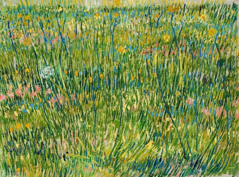 grasgrond-vincent-van-gogh-44508-copyright-kroller-muller-museum.jpg
