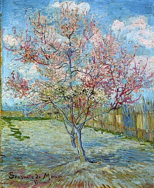 roze-perzikbomen-souvenir-de-mauve-vincent-van-gogh-44542-copyright-kroller-muller-museum.jpg