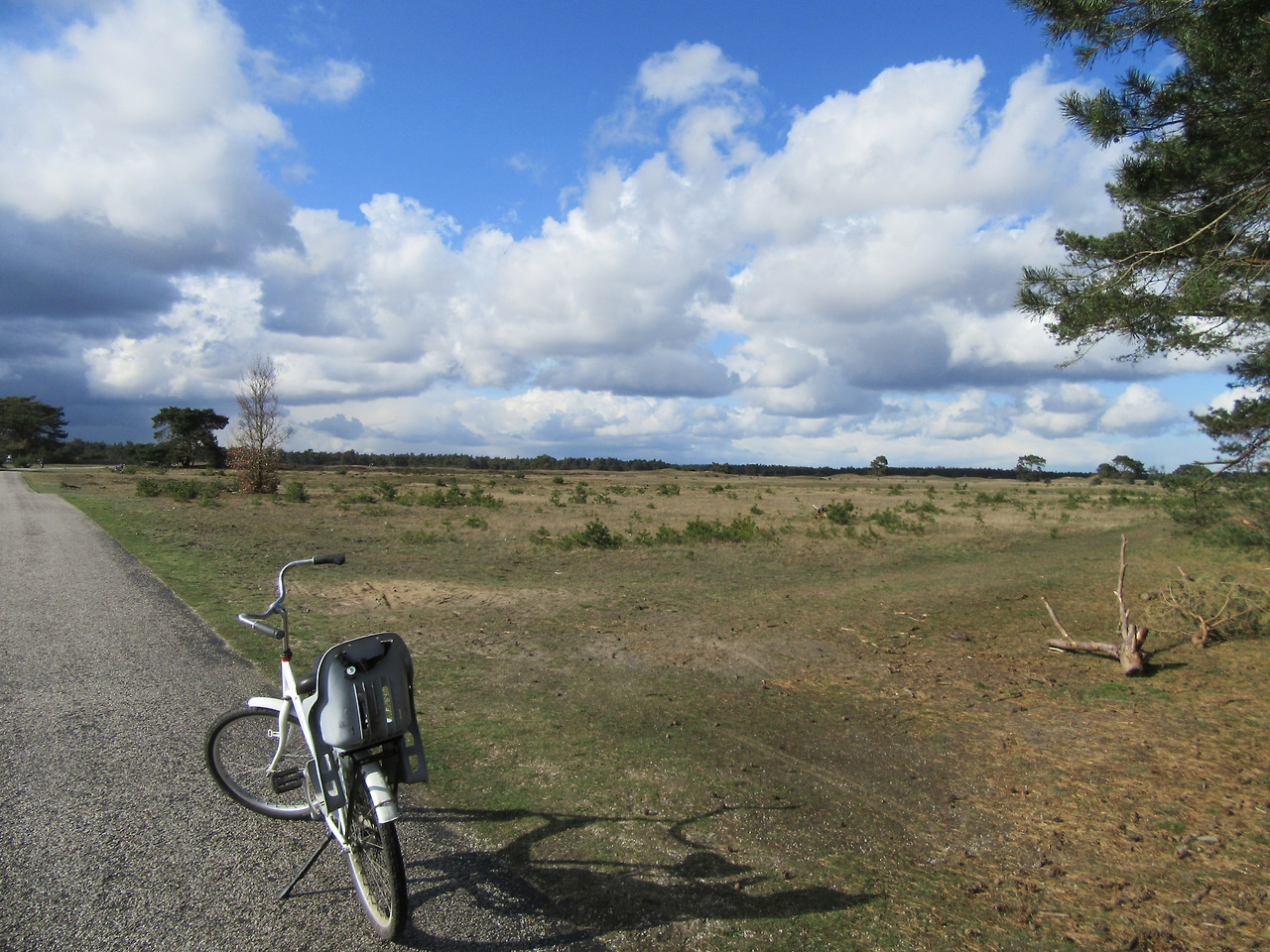 사본 -IMG_4152.jpg