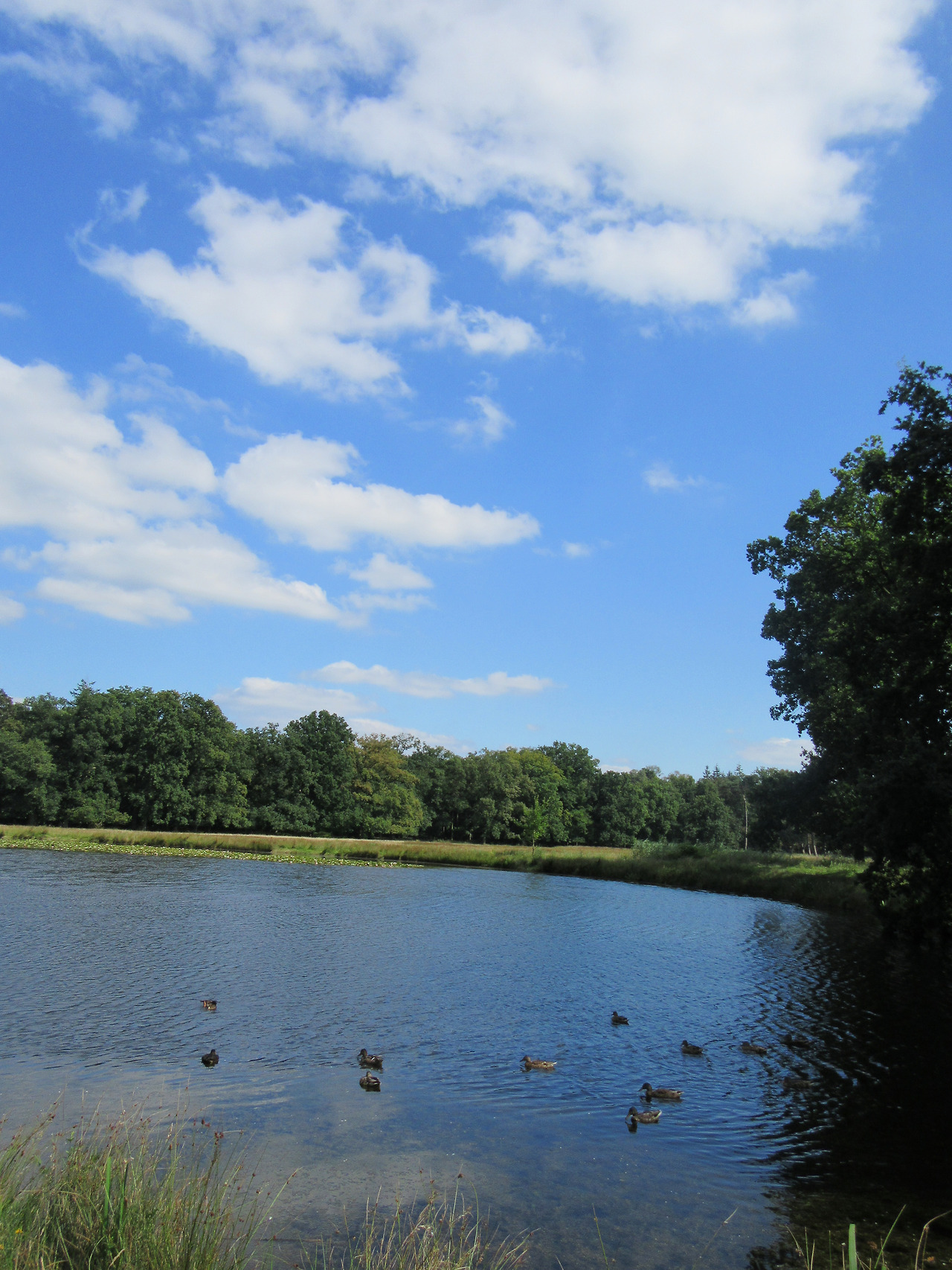 사본 -IMG_4644.jpg