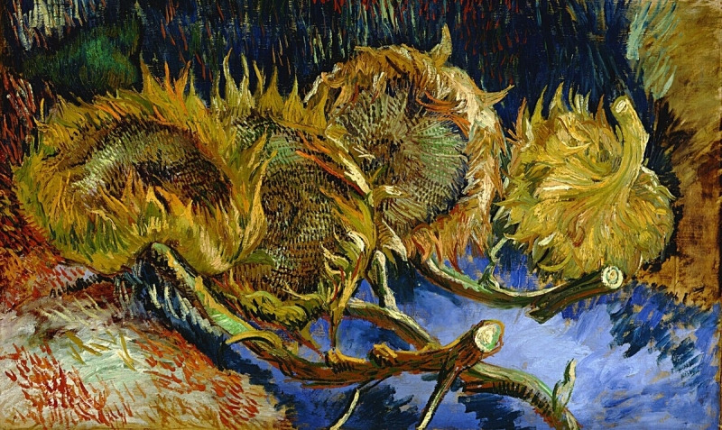 vier-uitgebloeide-zonnebloemen-vincent-van-gogh-44519-copyright-kroller-muller-museum.jpg