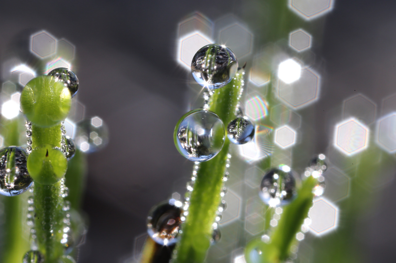 이슬물골 095.jpg