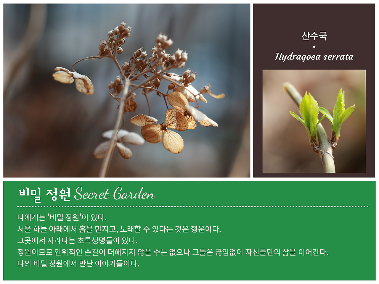 비밀정원 (4).jpg