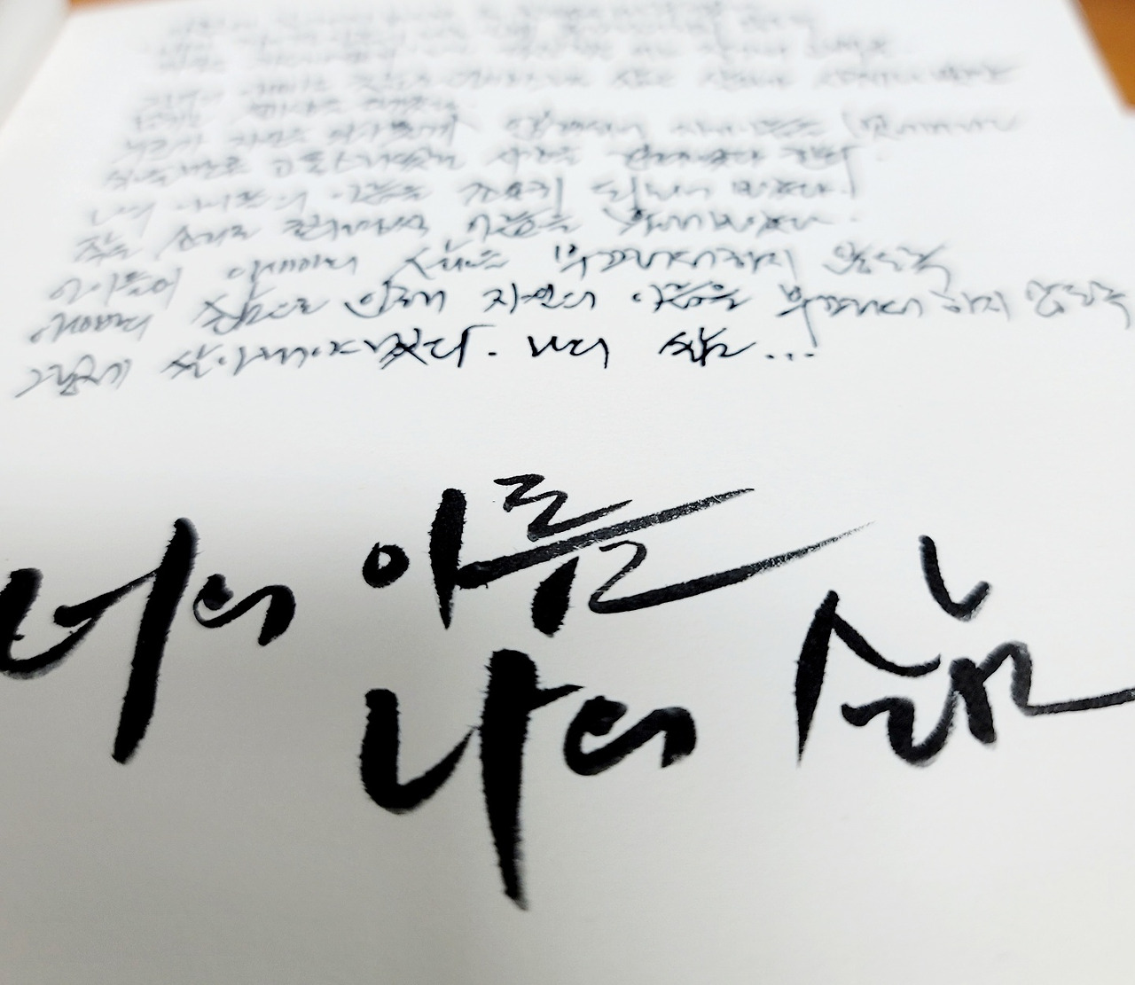 너의이름 나의삶.jpg