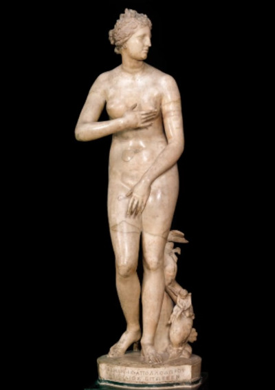 메디치의 비너스.jpg