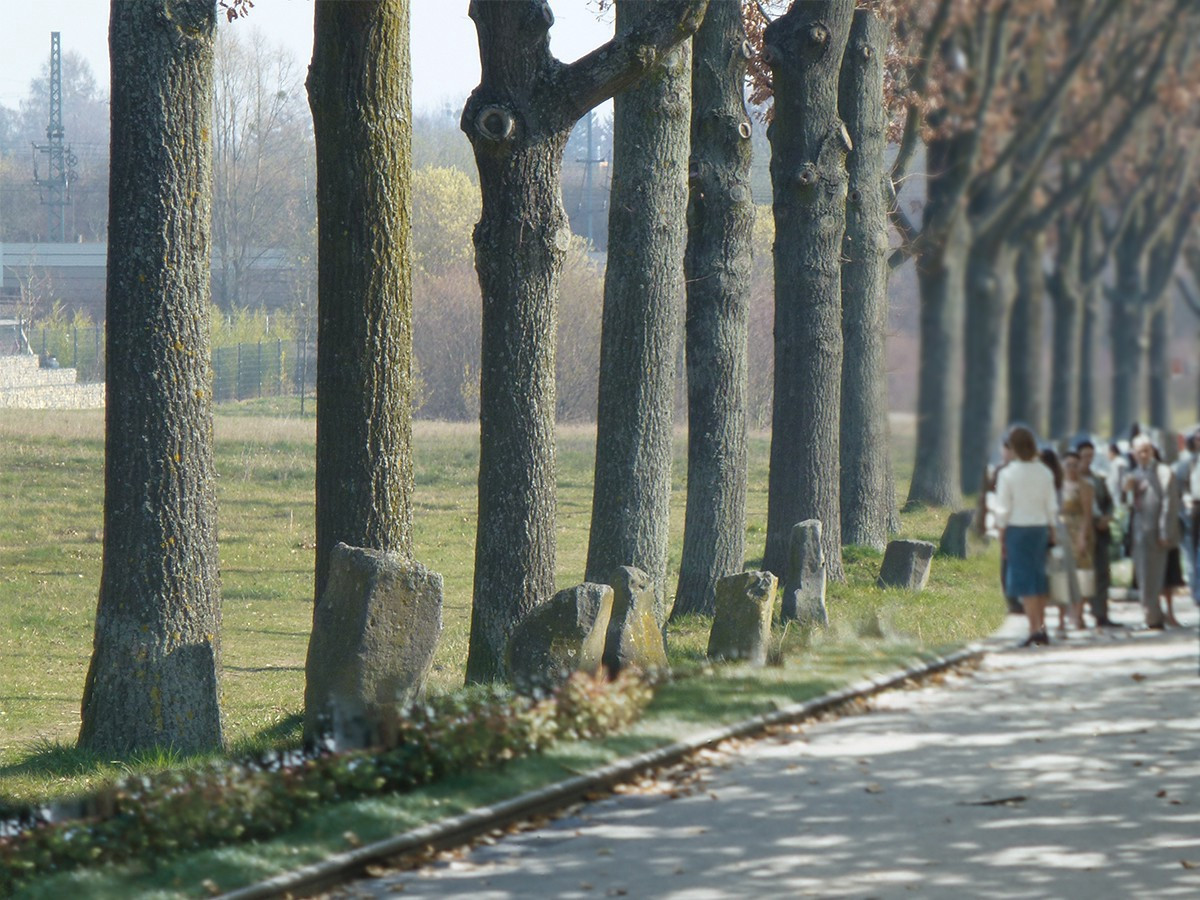 요제프 보이스.jpg