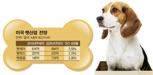펫케어 산업.jpg