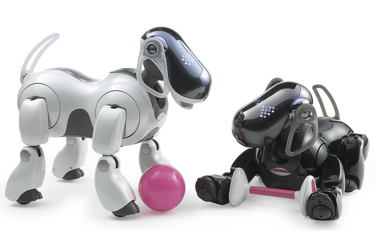Sony-Aibo.jpg