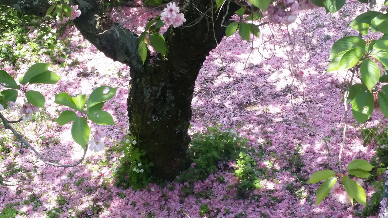 2015-05-04 13.00.44.jpg