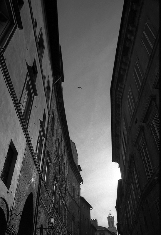 siena-41.jpg