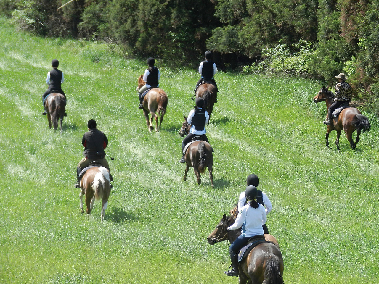 B 레저-승마 체험.jpg