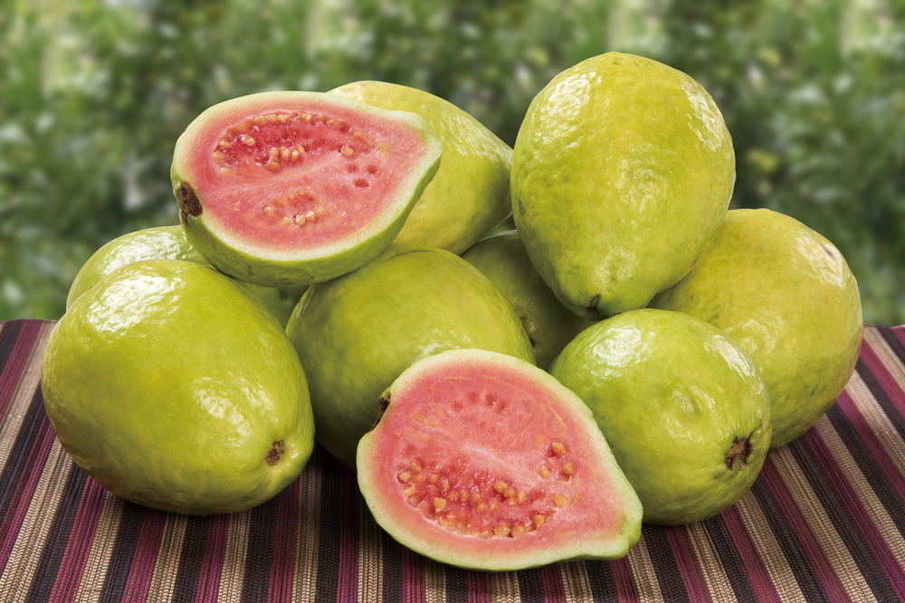 201601_4_guavas.jpg