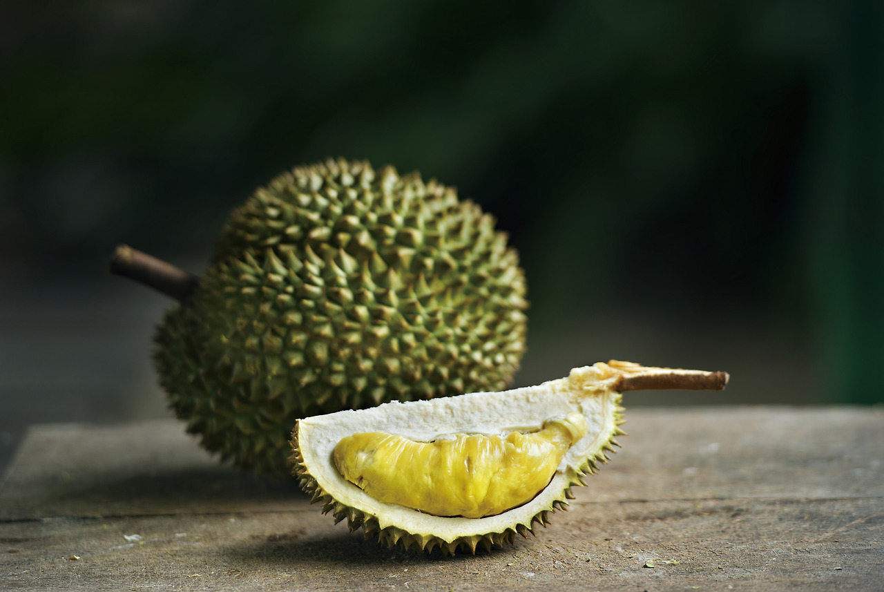 201601_4_Durian.jpg