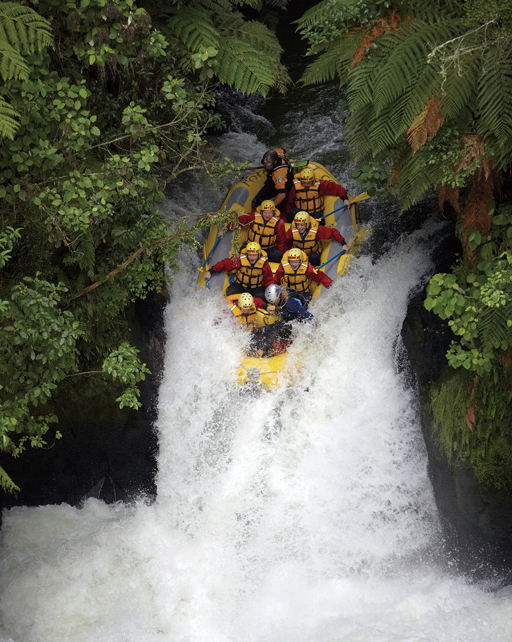 AD78-Tutea-Falls-Rotorua-Chris-McLennan.jpg