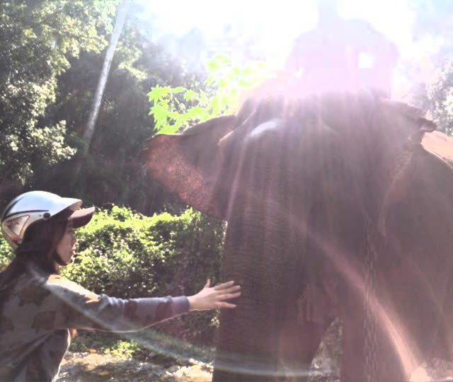 사본 -2015-02-14 07.55.29.jpg